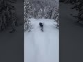 Ski Doo Pushing The Limits