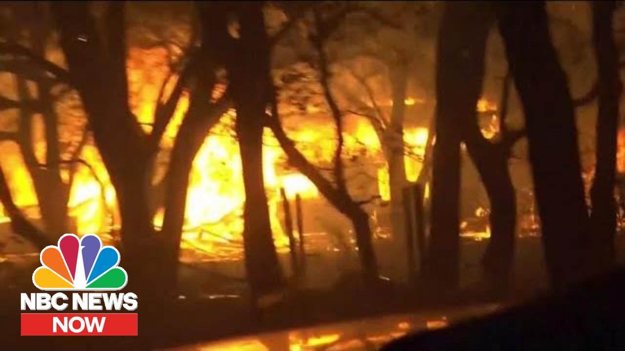 How Climate Change Affects Wildfires | NBC News Now