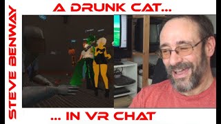 A Drunk Cat in VR Chat.