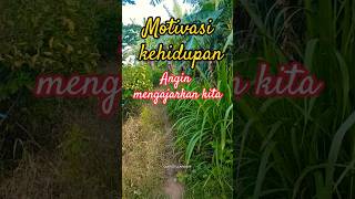 Download lagu Motivasi kehidupan || Angin mengarkan kita #catatanmotivasi mp3