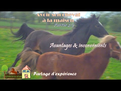, title : '[ZN] Partage d'expériences - Avoir son cheval à la maison (2/3)'
