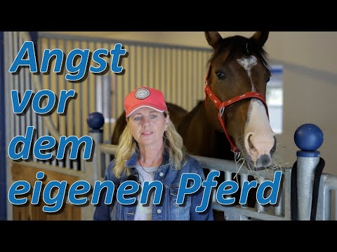 Angst vorm Reiten auf dem eigenem Pferd - Pferdecheck soll Abhilfe schaffen?
