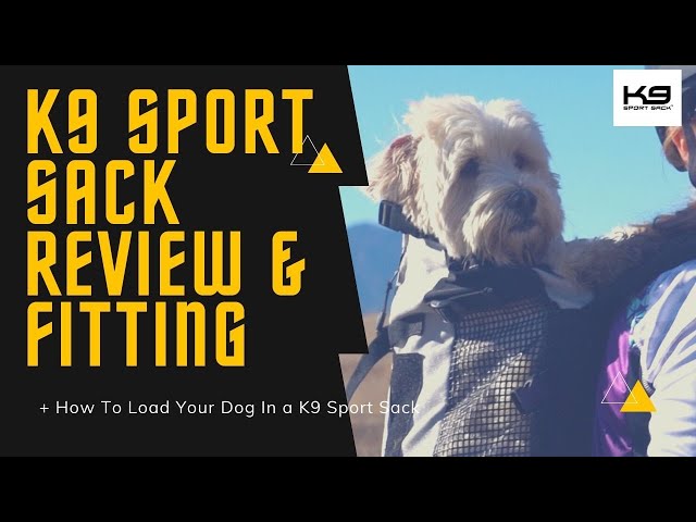 How To Put Dog In K9 Sport Sack Updated November 2022 Wikidoggia How To Put Dog In K9 Sport Sack Updated November 2022 Wikidoggia