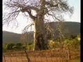 Colbert Mukwevho Athongozwidivha