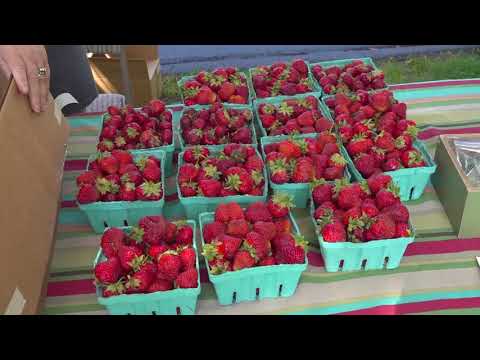 Town of Tewksbury Farmers Market