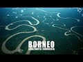 Borneo: Pulau Terbesar Ketiga Dunia, Amazonnya Indonesia