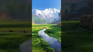 Enya: Wild Child