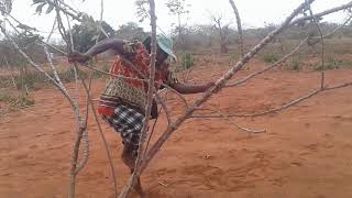 Download lagu Madzwaleni-matapa mp3 Download lagu Madzwaleni-matapa mp3