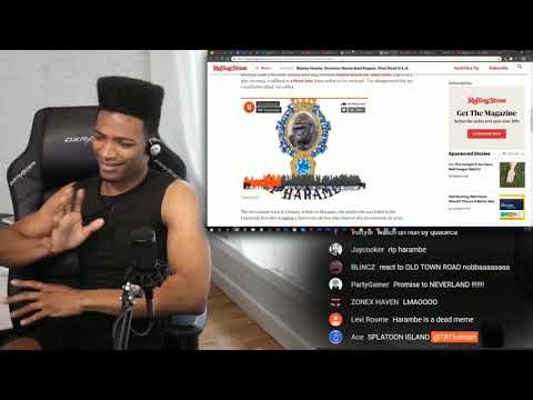 Etika Reacts to RIP HARAMBE by Elon Musk (Lil Musk)