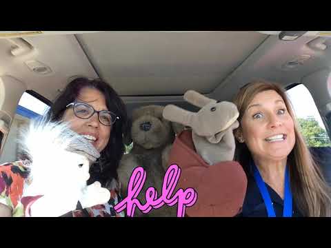 Carpool Karaoke Testing Tips 2019