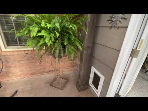 Video May 10, 8 47 05 AM