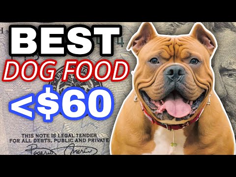 BEST Dog Food Review
