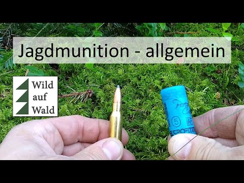 🦌 Munition #1: Allgemeines