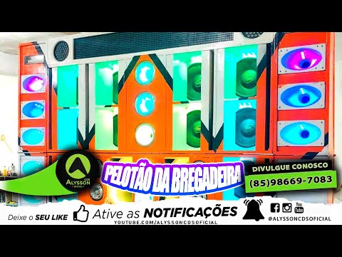 CD BREGADEIRA TOP 2020 PRA PAREDÃO