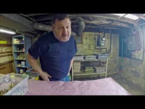 New worm bin using volunteers from 2 'sister' bins - vermicomposting