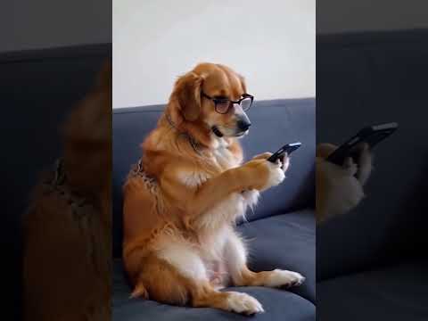 Dog Caught Using Phone Like a Human! 📱🐾 You Won’t Believe This #dog #funny #animals #mobilegame