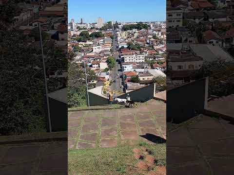 #cães de #rua #brincadeiras #parque do #cristo #araxá #minasgerais #brasil #2026 #caramelo #dogs