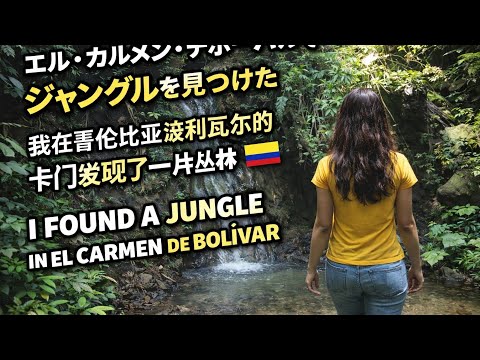 NO CREERÁS Entré a una SELVA OCULTA en El Carmen de Bolívar 🇨🇴 y encontré frutas que no conocía 