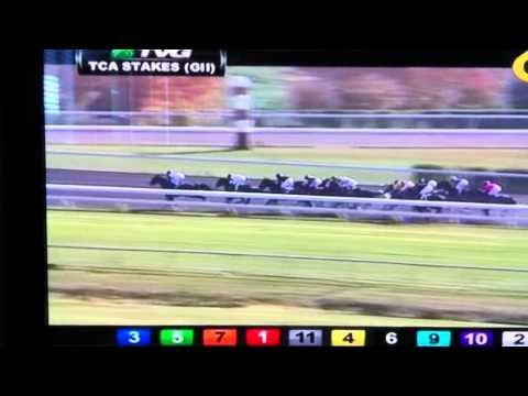 2011 Thoroughbred Club of America Stakes