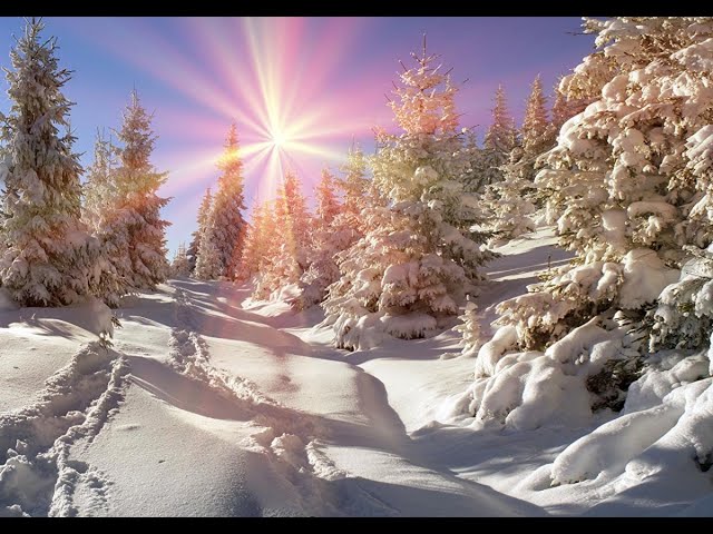 Фото The beauty of winter, snow and nature.