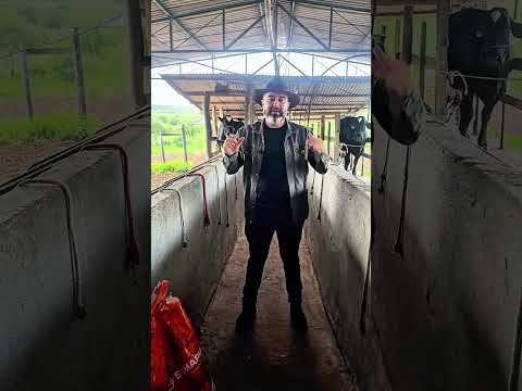 Sítio em Iati PE, medindo 20 hectares, Valor R$ 499.000,00