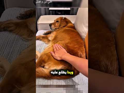 يرسم على الورقة بطريقة مميزة 😳 #shorts #shortvideo #trending