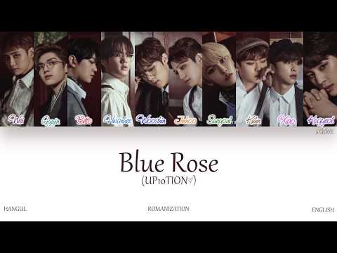 [HAN|ROM|ENG] UP10TION (업텐션) - Blue Rose (Color Coded Lyrics)