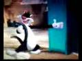 Space Jam Abbiamo Le Palle Boss