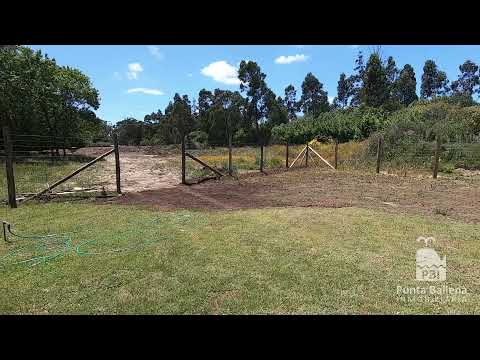 Video de YouTube - Casa en Venta de 4 dormitorios con  Garage en Punta Ballena, Maldonado