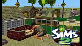 🐾 Sims 2 Shelter Rescue |  Sims 2 Cleaning & Cozy Restoration ASMR 🐶🐱