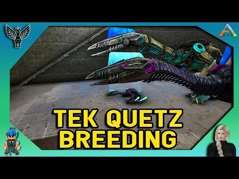 ARK: TEK QUETZ BREEDING