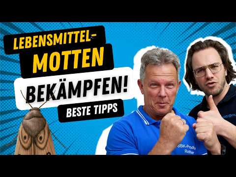 Lebensmittel-Motten bekämpfen & loswerden – aber richtig!