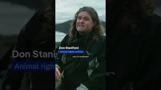 The dark side of salmon farms | DW Documentary