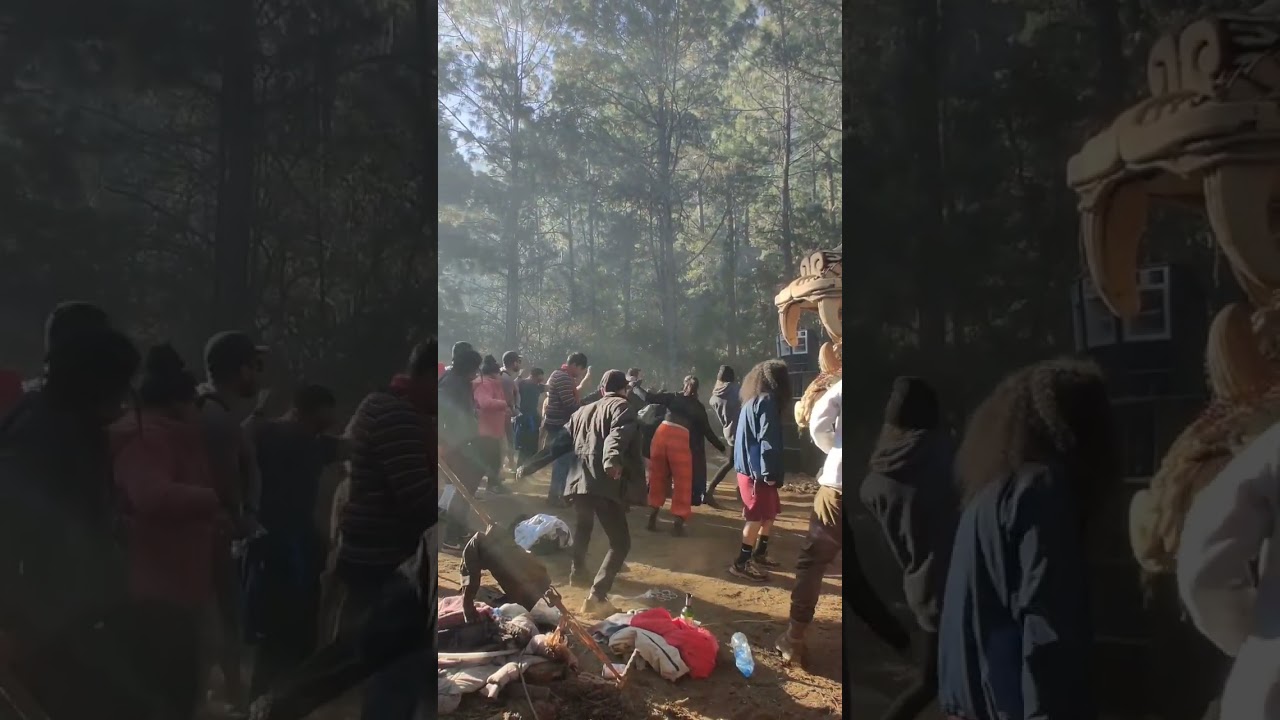 Acid Party in the Woods