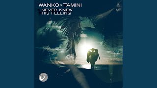 I Never Knew This Feeling (Extended)