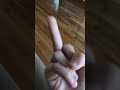My Penis