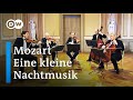 Mozart: Eine kleine Nachtmusik | Gewandhaus Quartet with Stefan Adelmann (double bass)