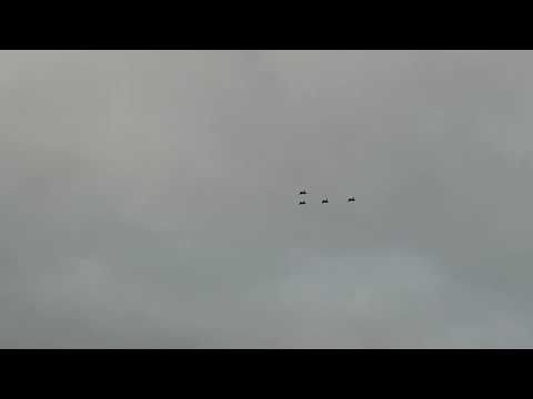 Swedish Air Force Blekinge air flotilla (F 17) Christmas tree Jas 39 Gripen-Halmstad 17 Dec 2020