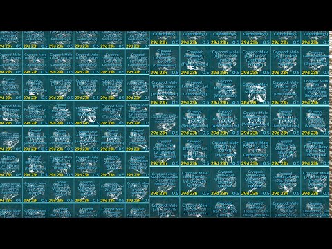 Solo Raiding Surface Entrance | BBX Fibercraft |