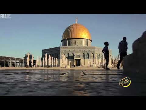 Senad Podojak /Kuduse/ VIDEO