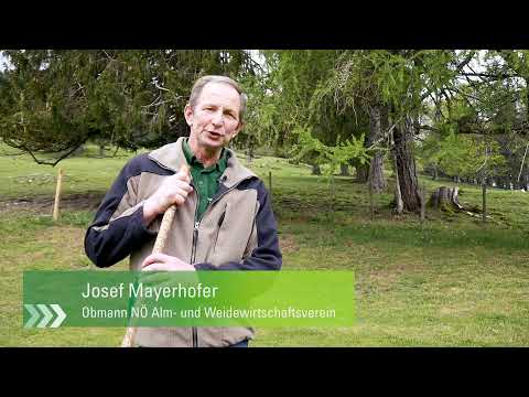 NÖ Alm- und Weidewirtschaftsverein