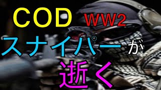 【COD】素人が逝くwスナイパー編