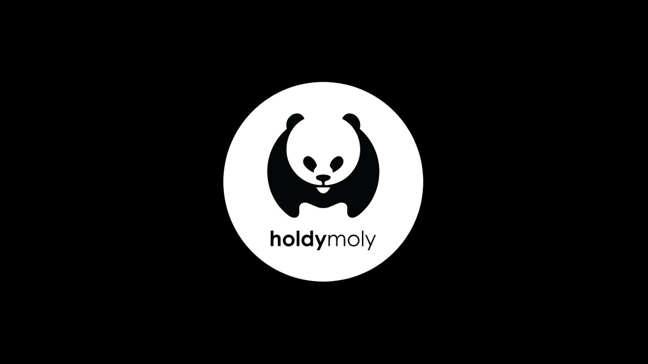 holdymoly Smartphone Holder // Set of 2 video thumbnail