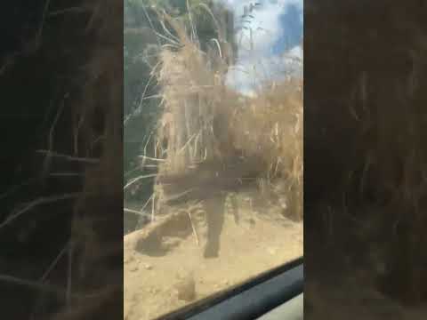 O chão  de São João do Manteninha-MG. #terrasdeminas