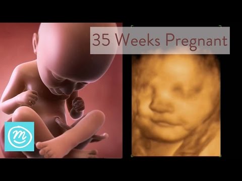 35 Weeks Pregnant: What You Need To Know - Channel Mum