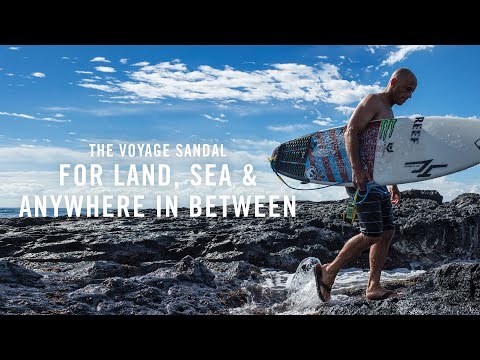 A Day with Shane Dorian