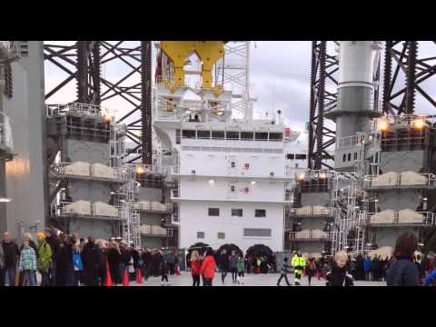 Pacific Orca visiting Copenhagen