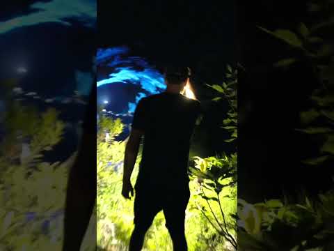 Illumina at Kingfisher Bay Resort