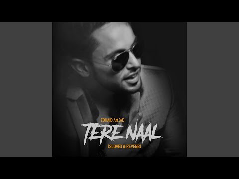 Tere Naal (Slowed & Reverb)