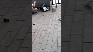 Отец и дочь на рыбалку